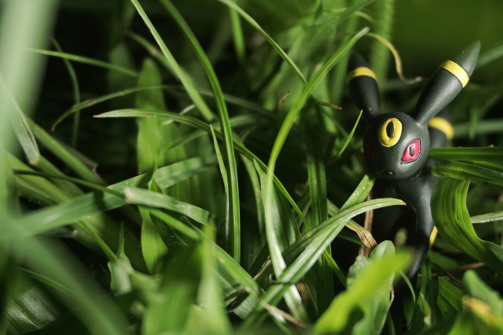 Sony a6000 sample photo. Toys, pokemon, photography photography