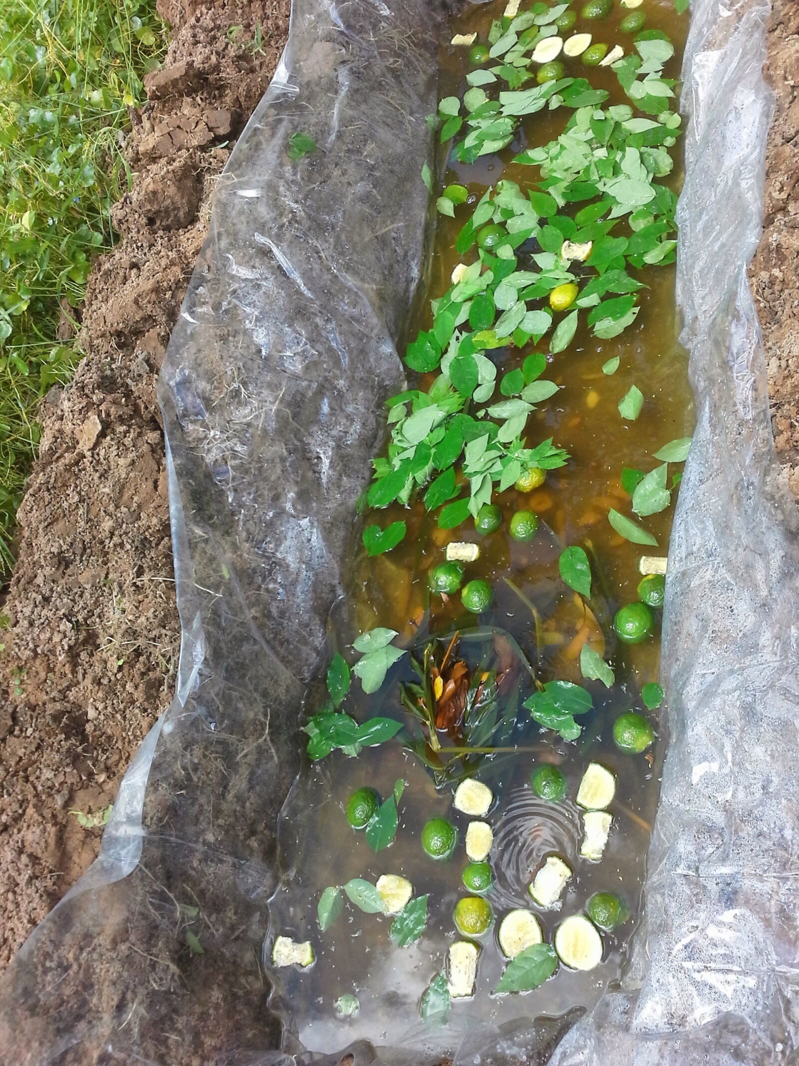 Samsung Galaxy Note 10.1 sample photo