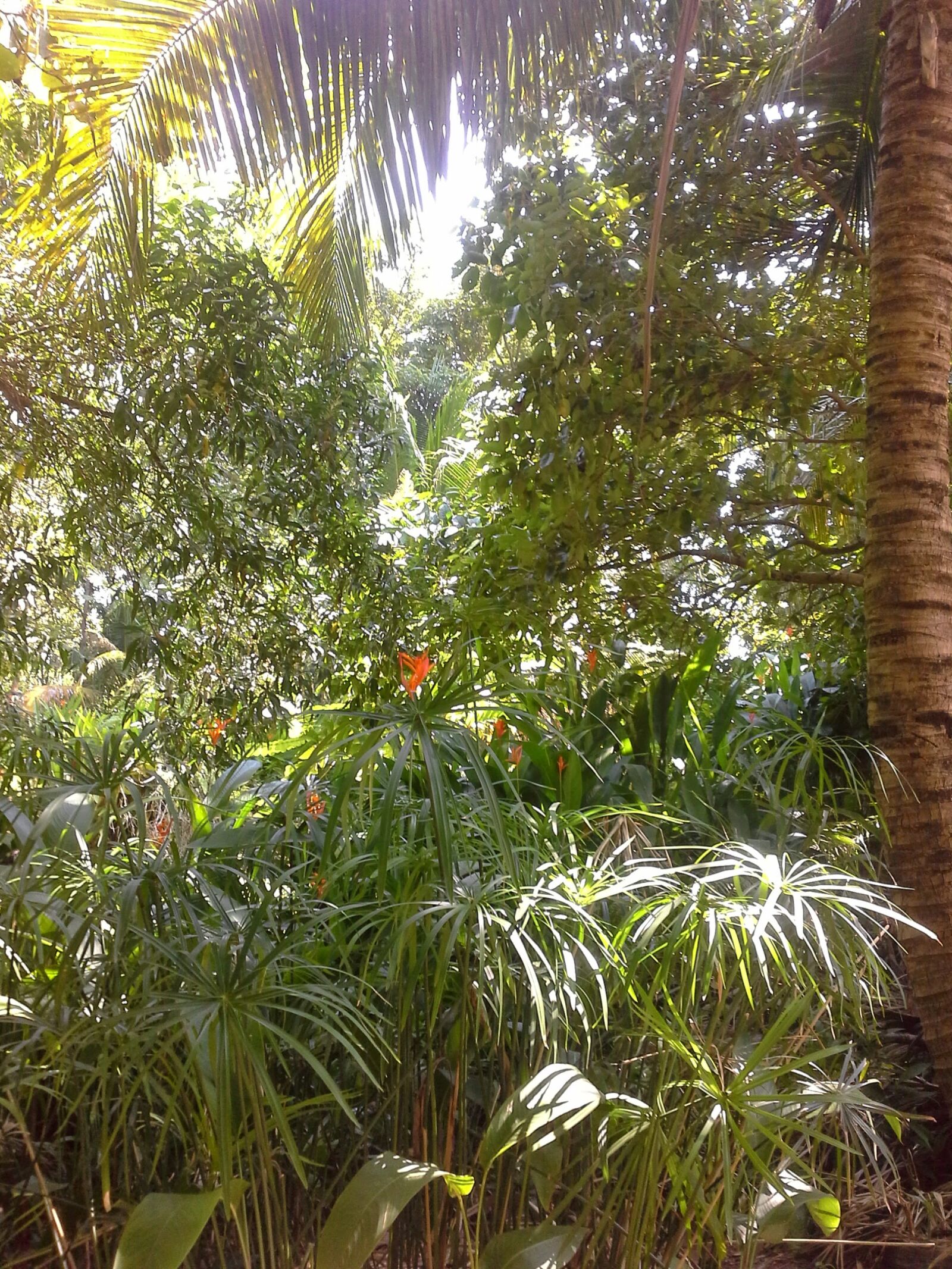 Samsung Galaxy Note 10.1 sample photo