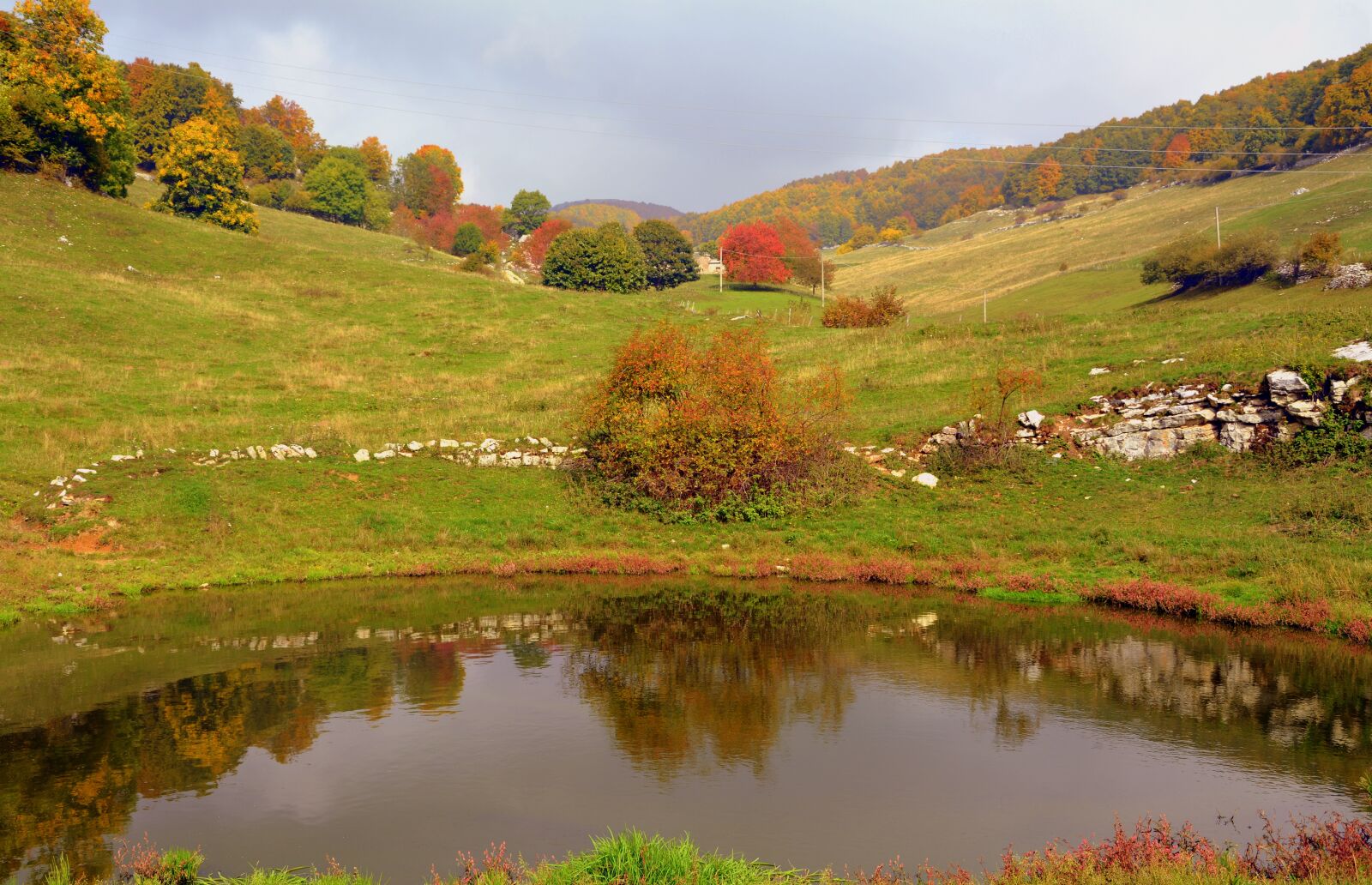 Nikon D7100 sample photo. Pond, autumn, trees photography