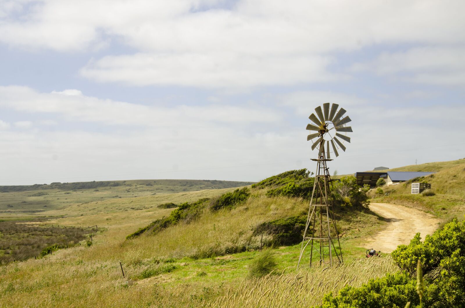 Nikon D7000 sample photo. Field, australia, victoria photography