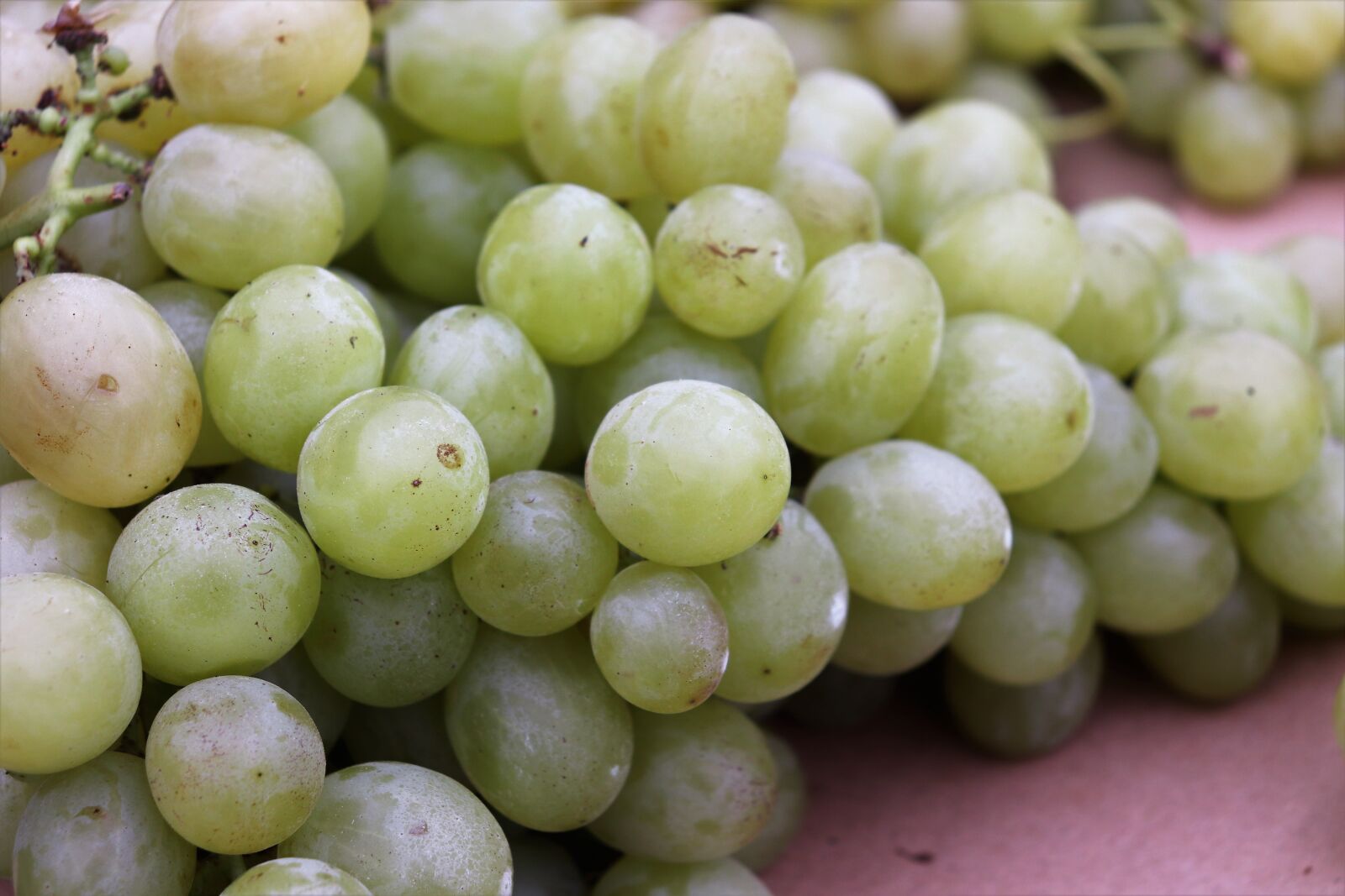 Canon EOS 200D (EOS Rebel SL2 / EOS Kiss X9) sample photo. White grapes, fruit, healthy photography