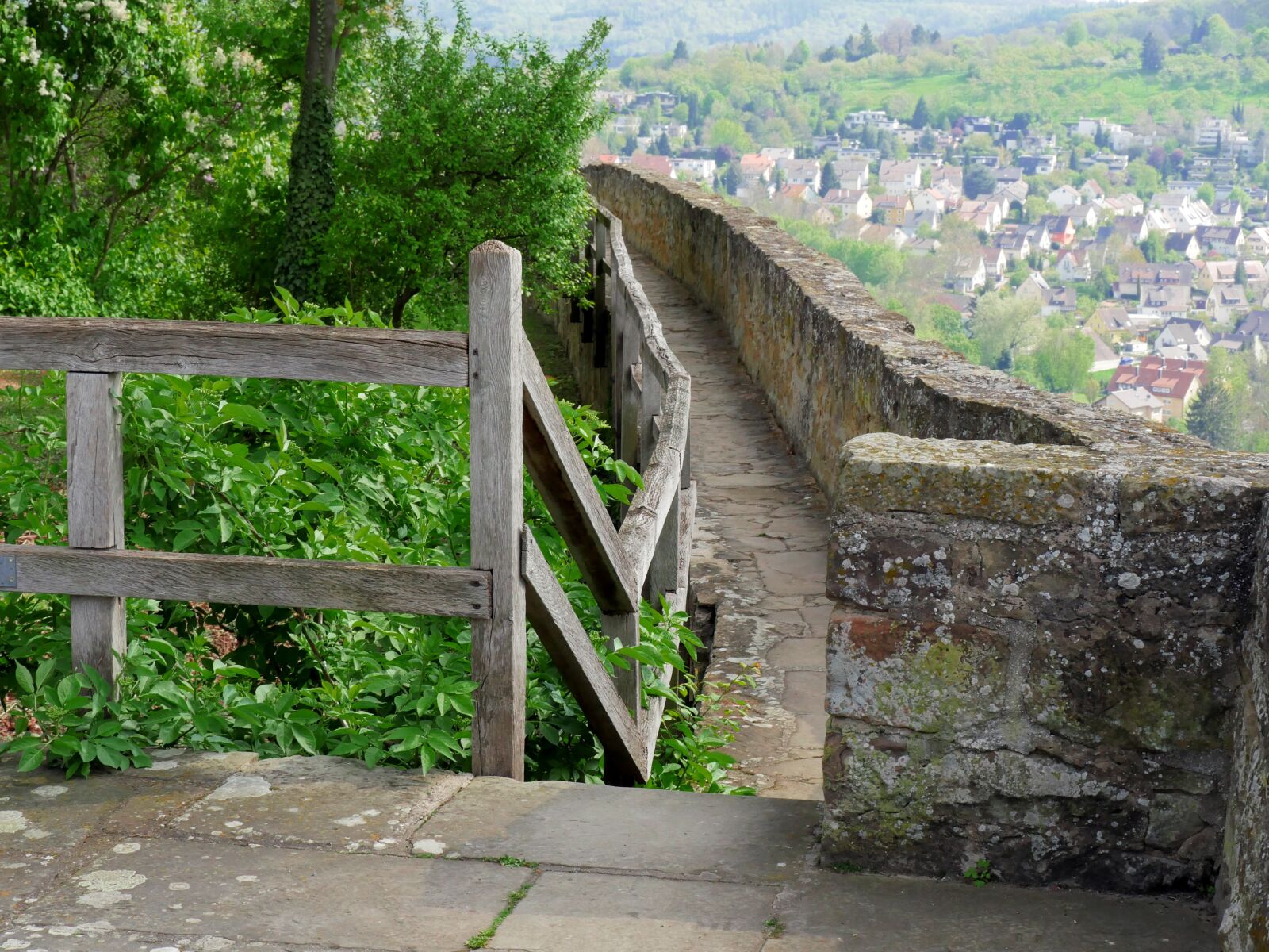 Panasonic Lumix DMC-GX8 sample photo. Battlement, guard, monitor photography