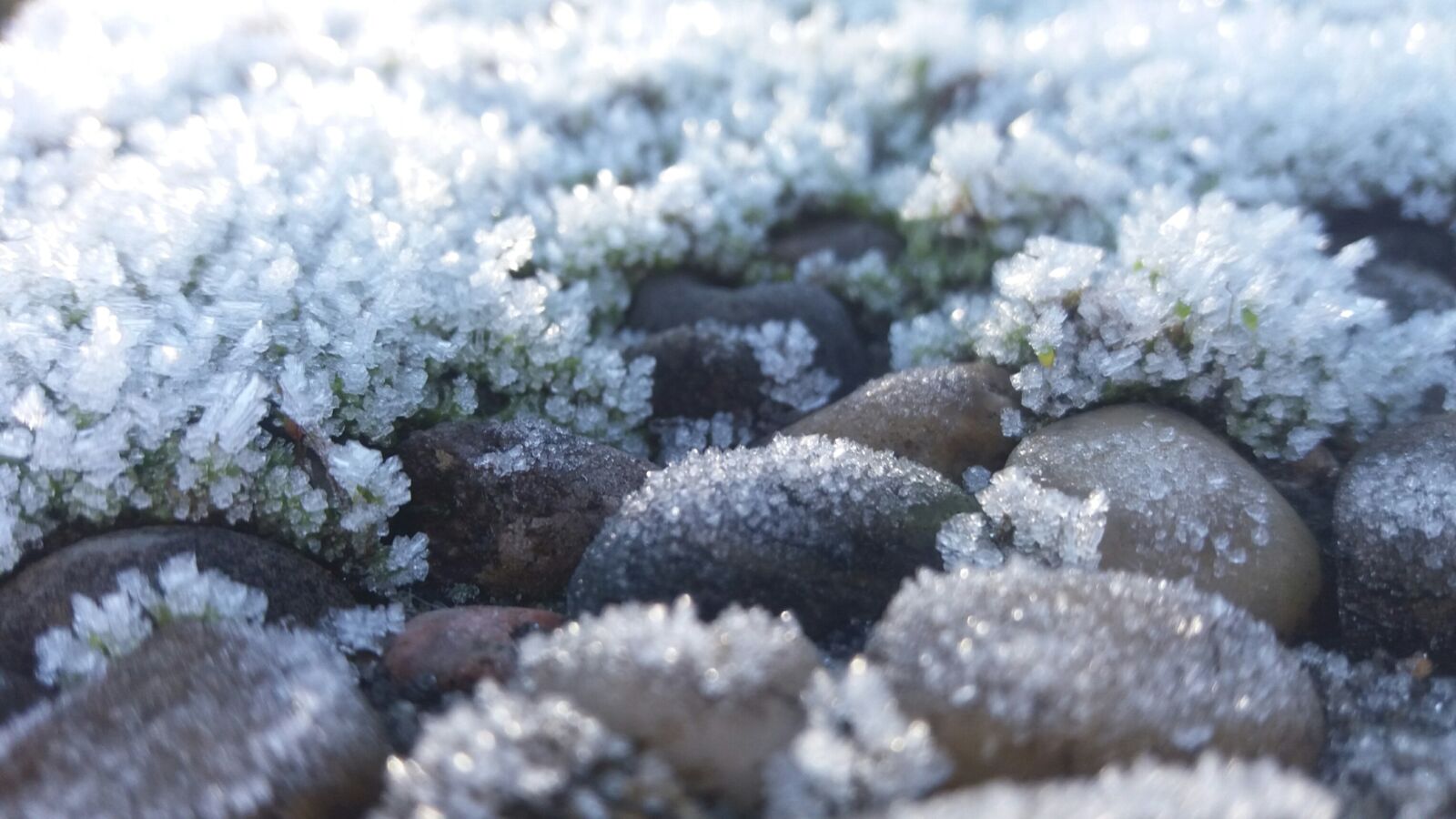 Samsung Galaxy J5 sample photo. Frost, winter, snow photography