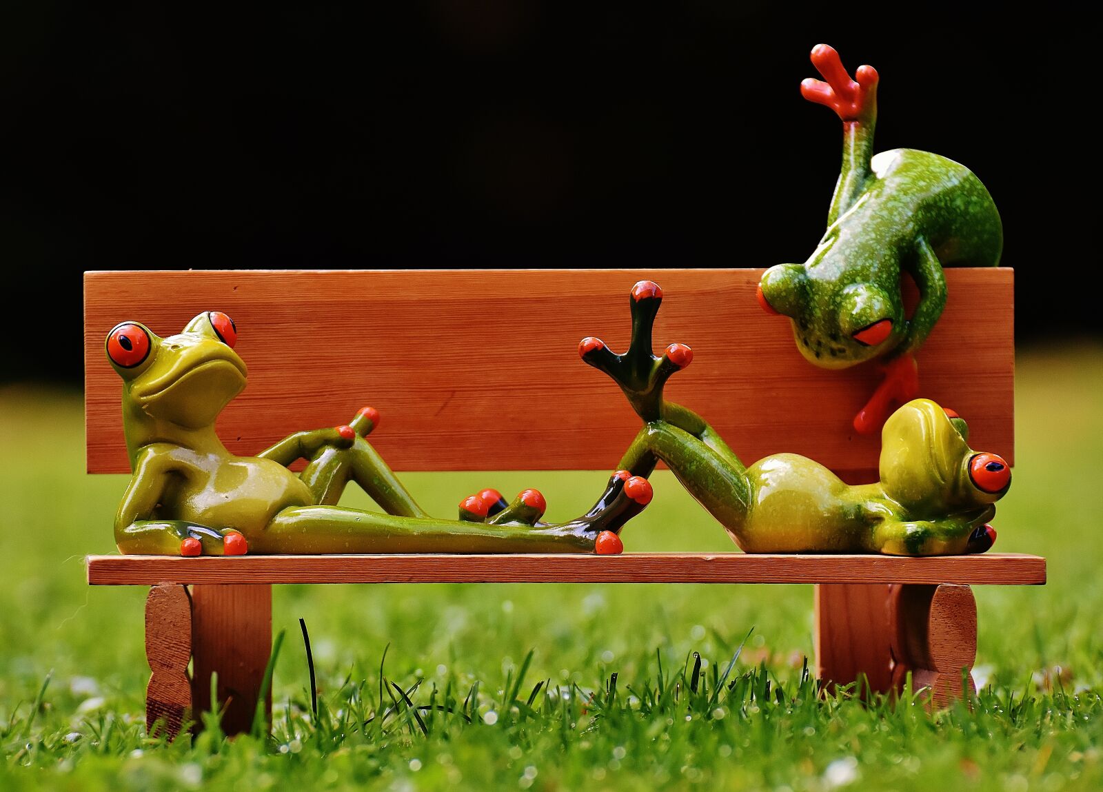 Nikon D7200 sample photo. Frogs, bank, bench photography