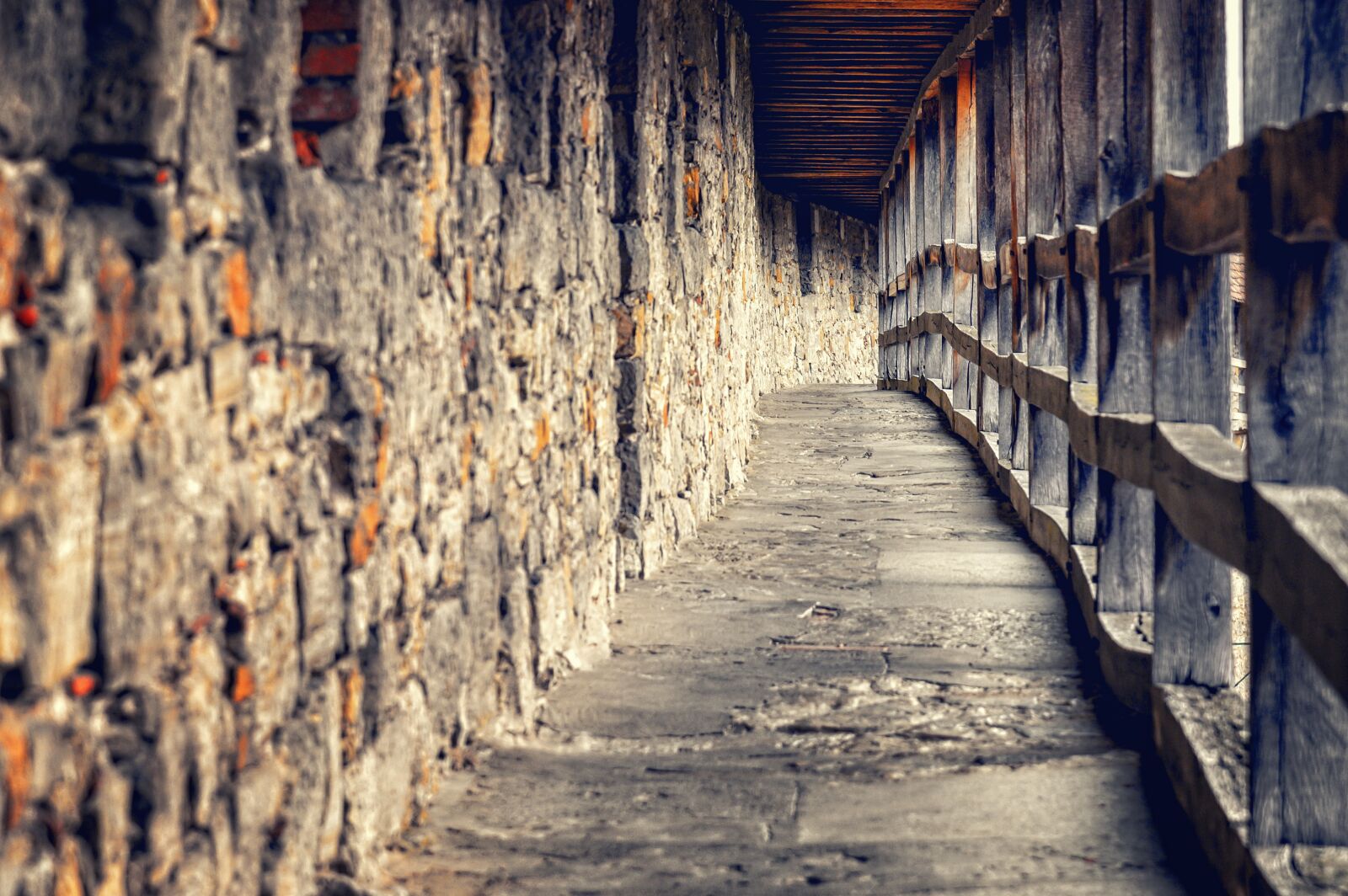 Nikon Z6 sample photo. Middle ages, gang, castle photography