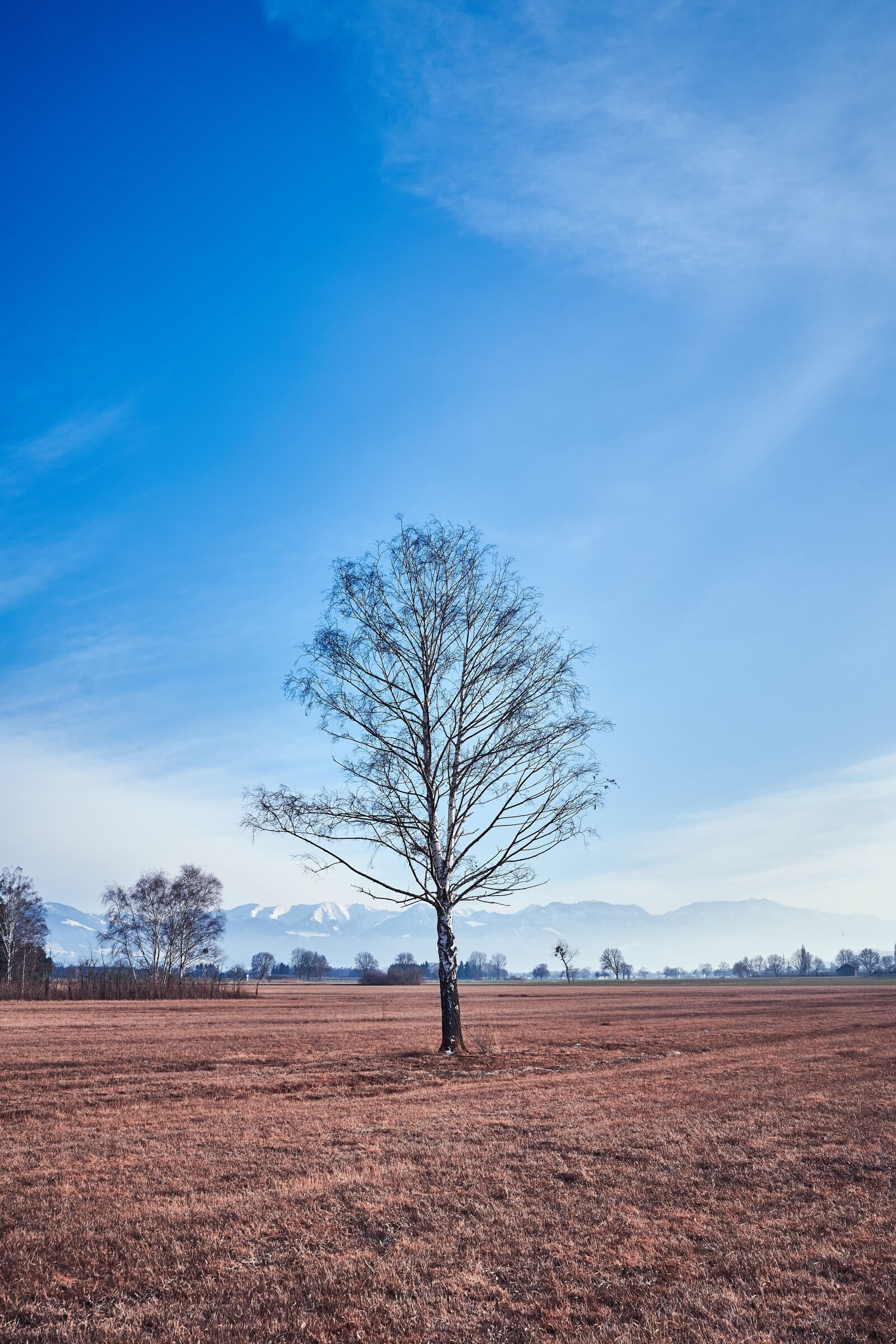 Sony a7 III + Tamron 28-75mm F2.8 Di III RXD sample photo. Landscape, nature, rural photography