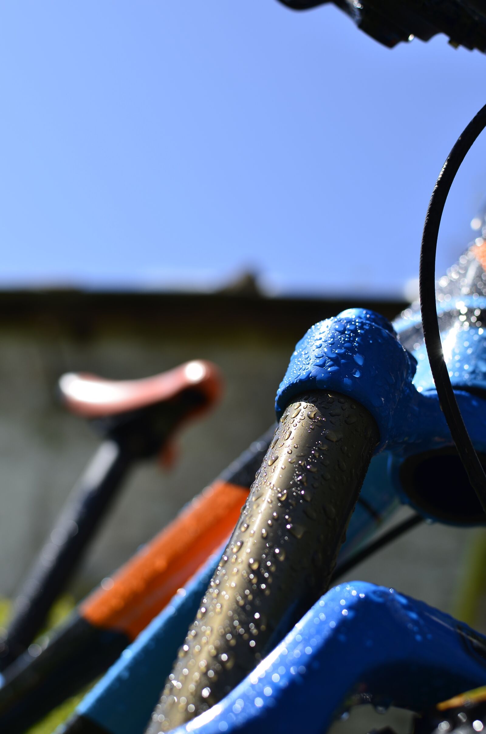 Nikon D7000 sample photo. Bike, fox, shimano photography