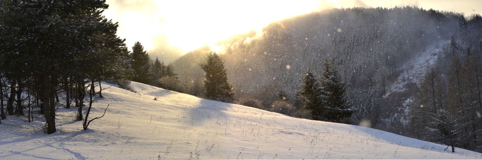 Nikon D3100 sample photo. Winter, snow, mountains photography