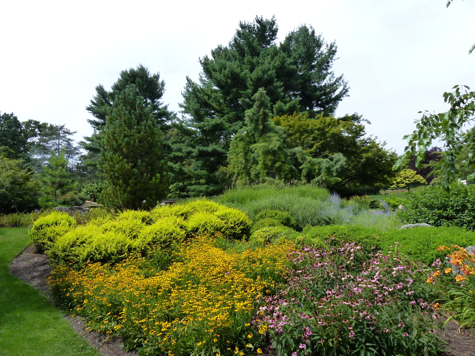 Panasonic Lumix DMC-FZ200 sample photo. Evergreen, flower, garden, landscape photography