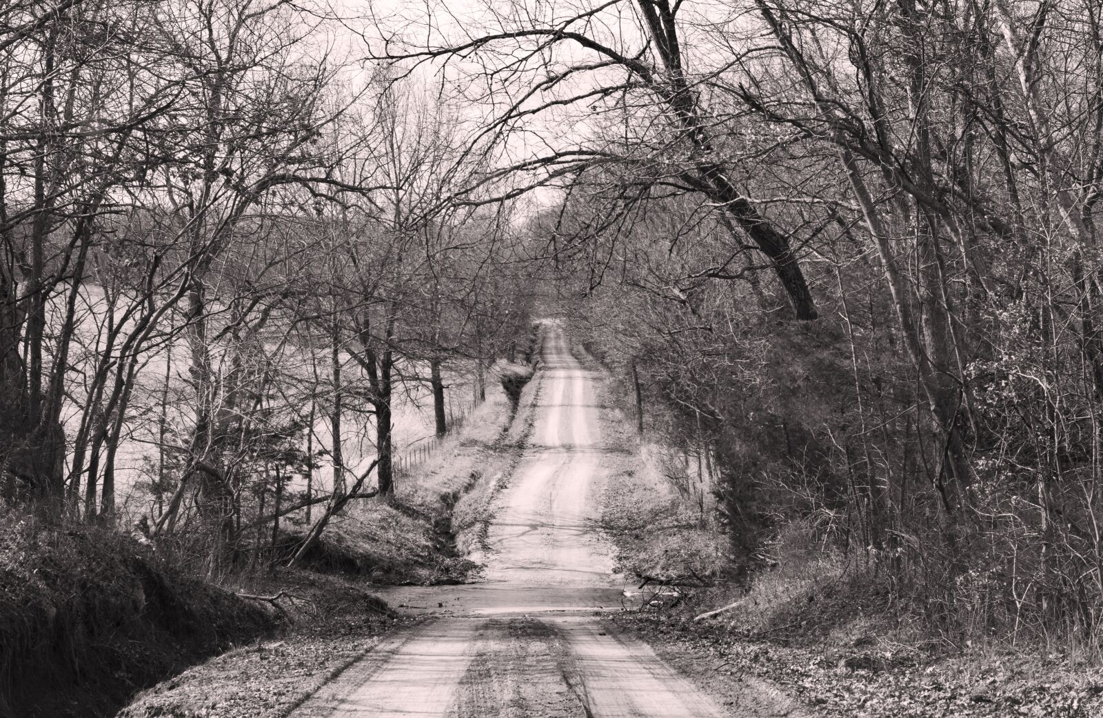 Nikon D3400 sample photo. Black and white road photography