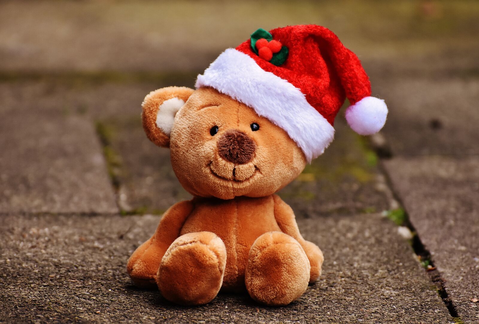 Nikon D7200 sample photo. Christmas, teddy, soft toy photography