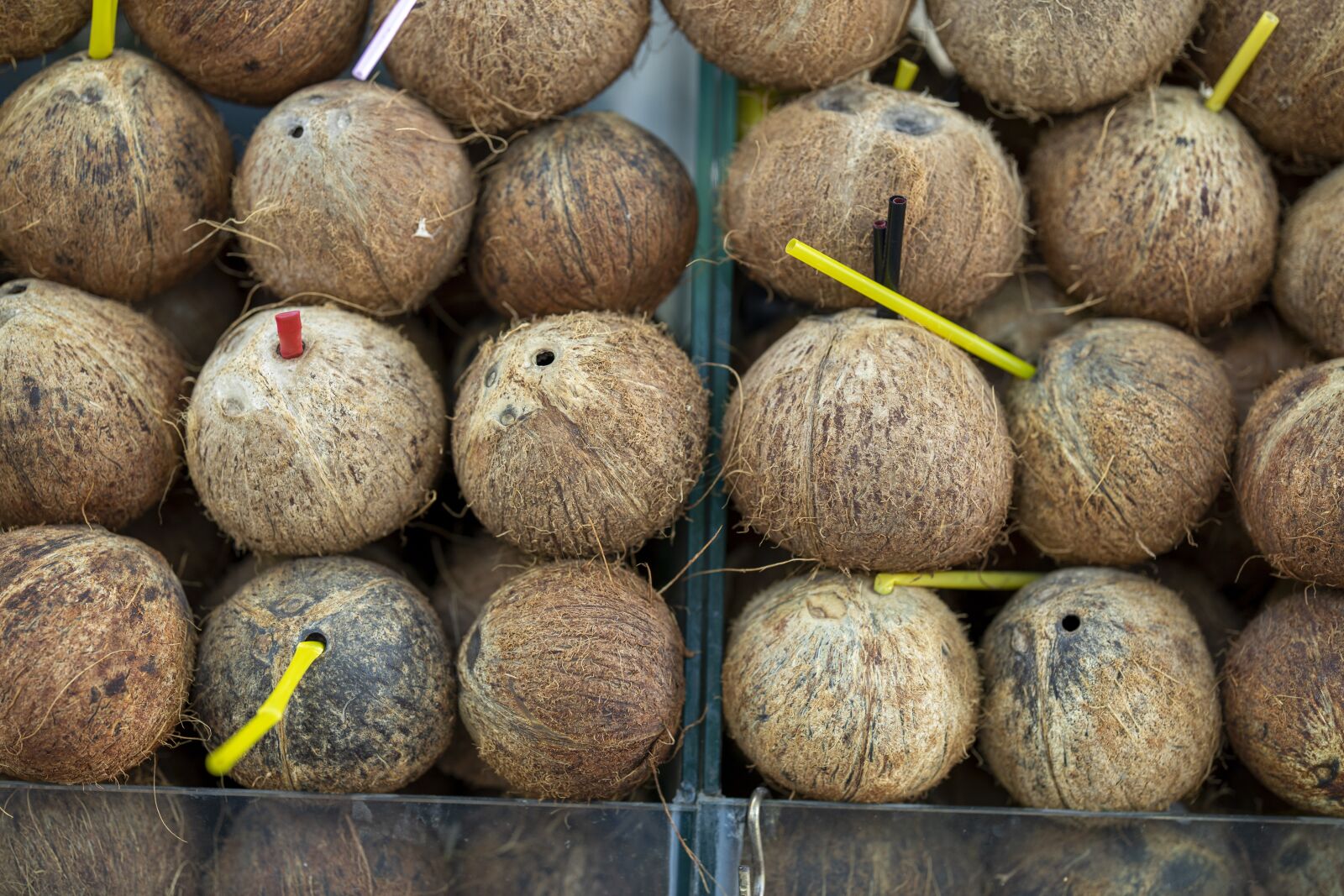 Canon RF 85mm F1.2L USM sample photo. India coconut, juicy, pipette photography