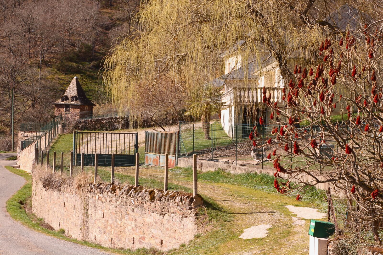 Canon EOS 1100D (EOS Rebel T3 / EOS Kiss X50) sample photo. House, nature, landscape photography