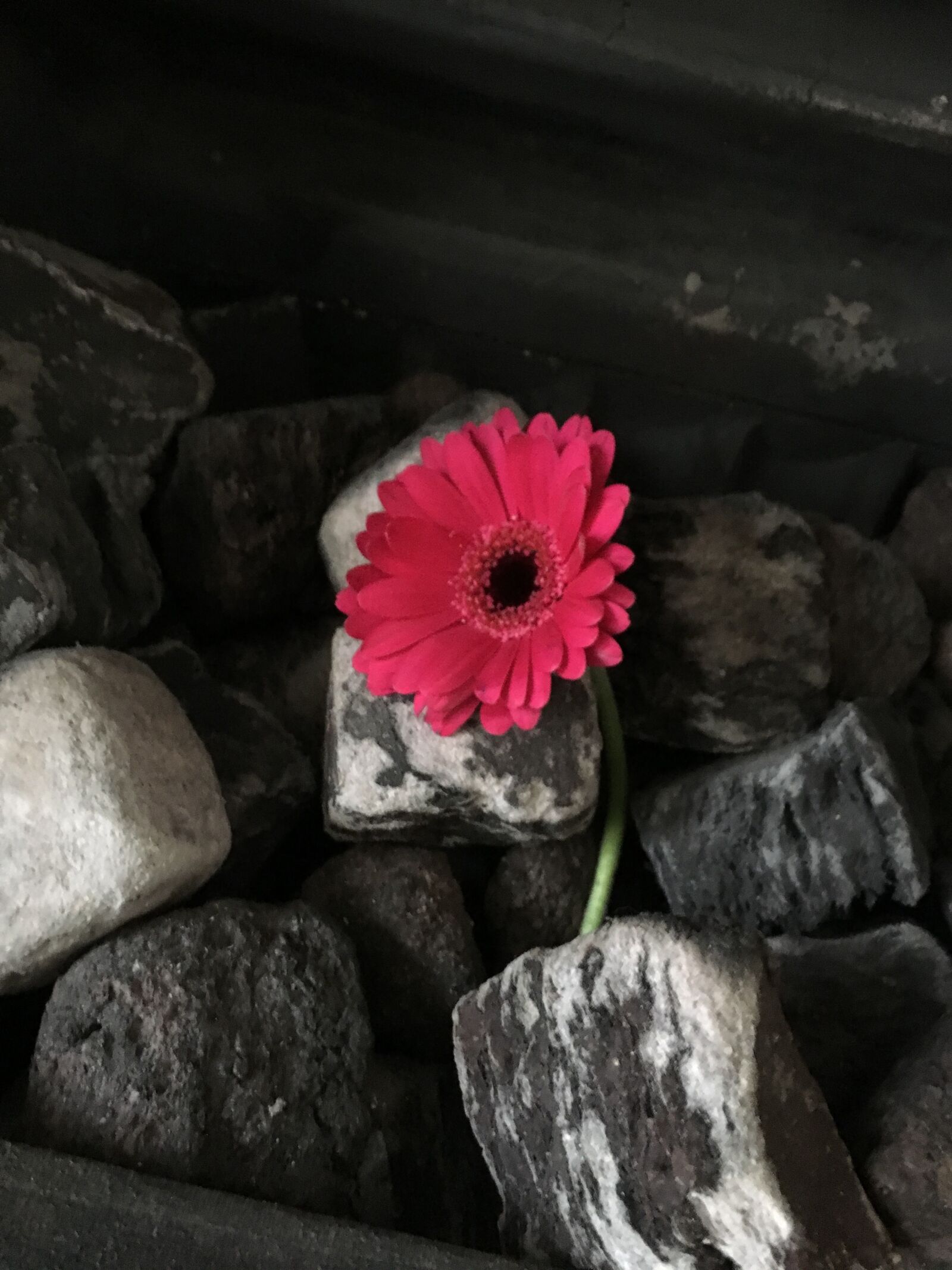 Apple iPhone 6s sample photo. Flower, fireplace, chimney photography