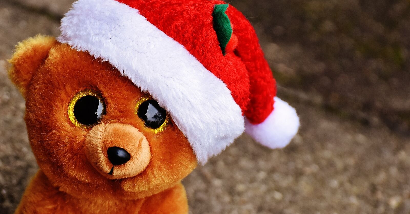 Nikon D7200 sample photo. Christmas, teddy, bear photography