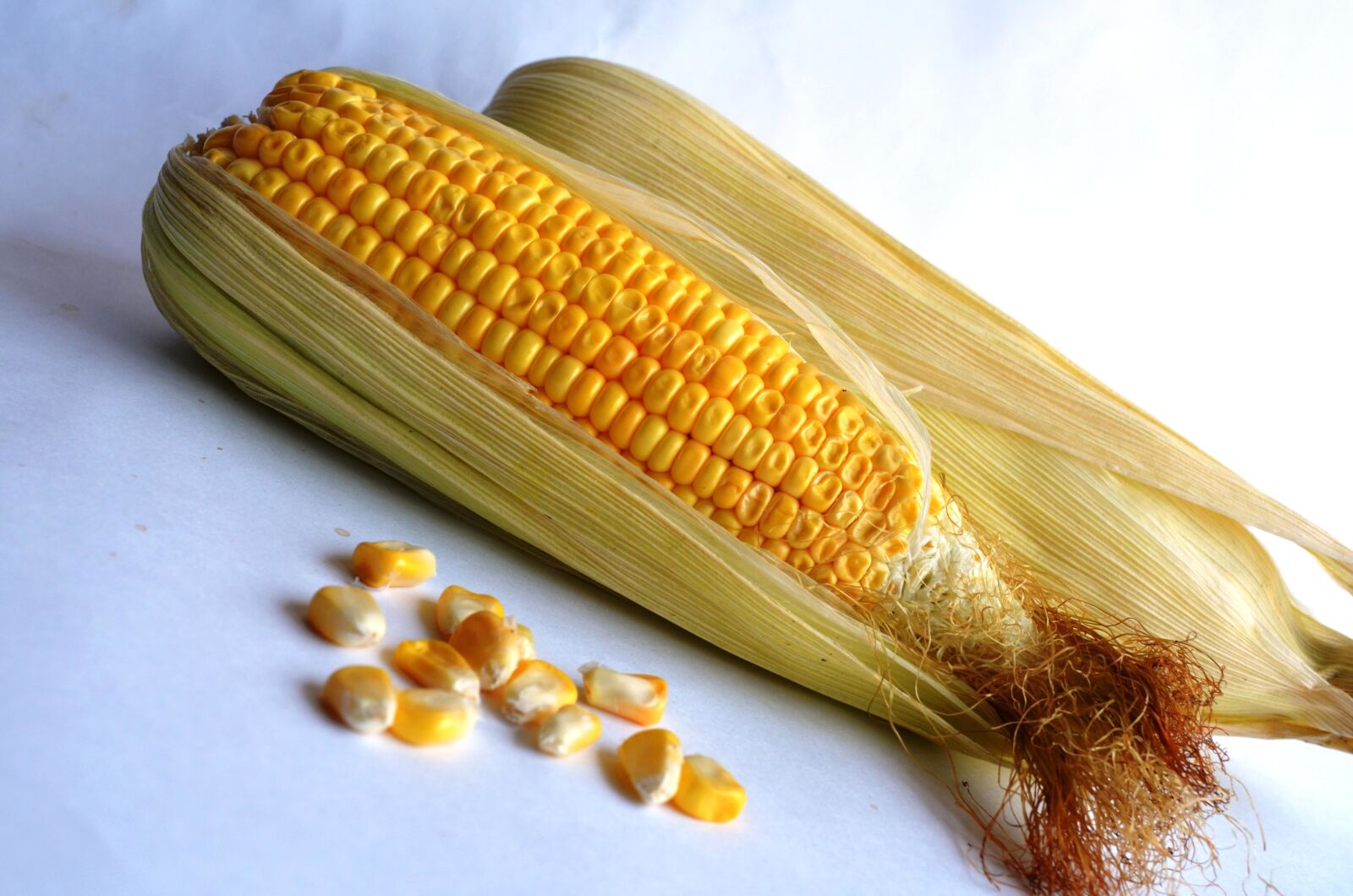 Nikon D5100 sample photo. Diet, corn, vegetable, seed photography