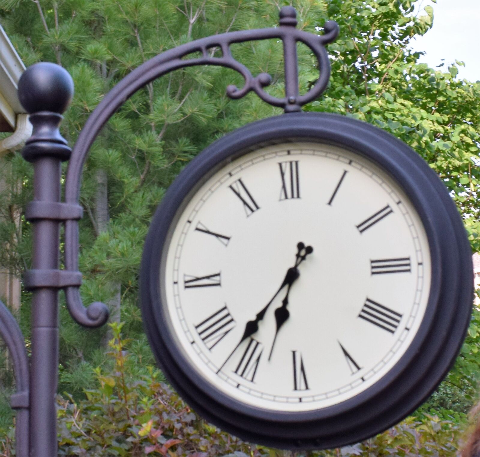 Nikon D3300 sample photo