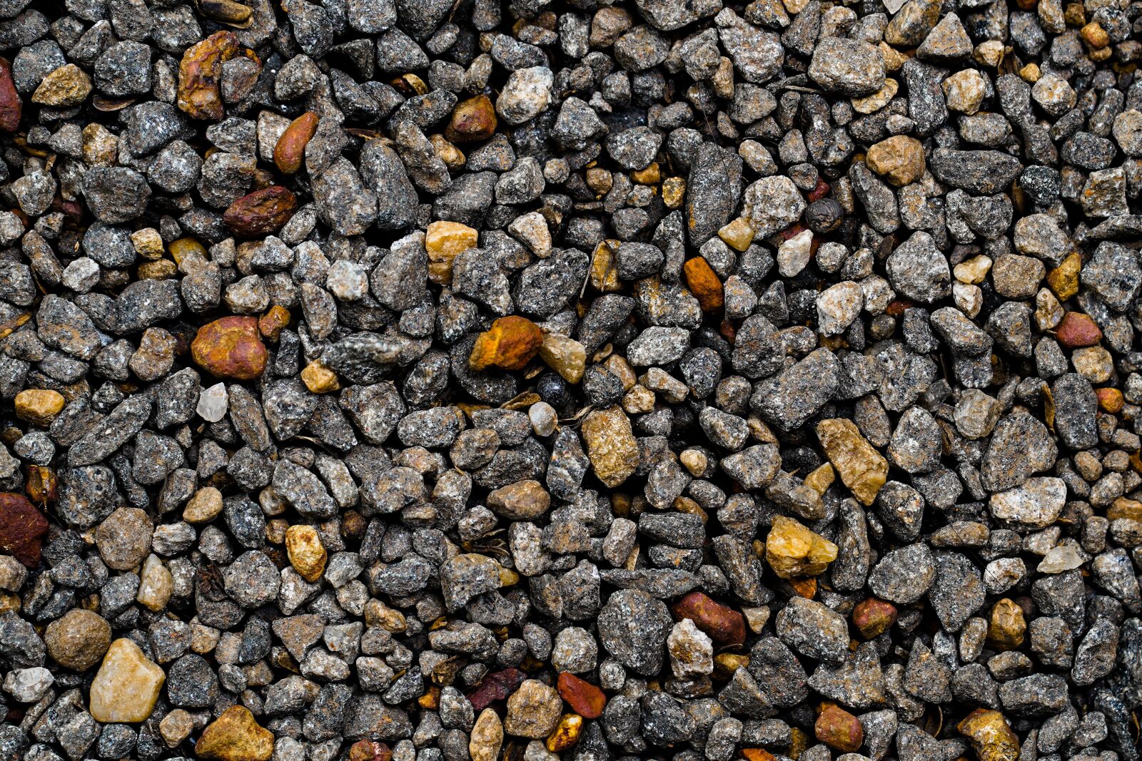 Sony a7 III sample photo. Pebble, abstract, abstract backgrounds photography