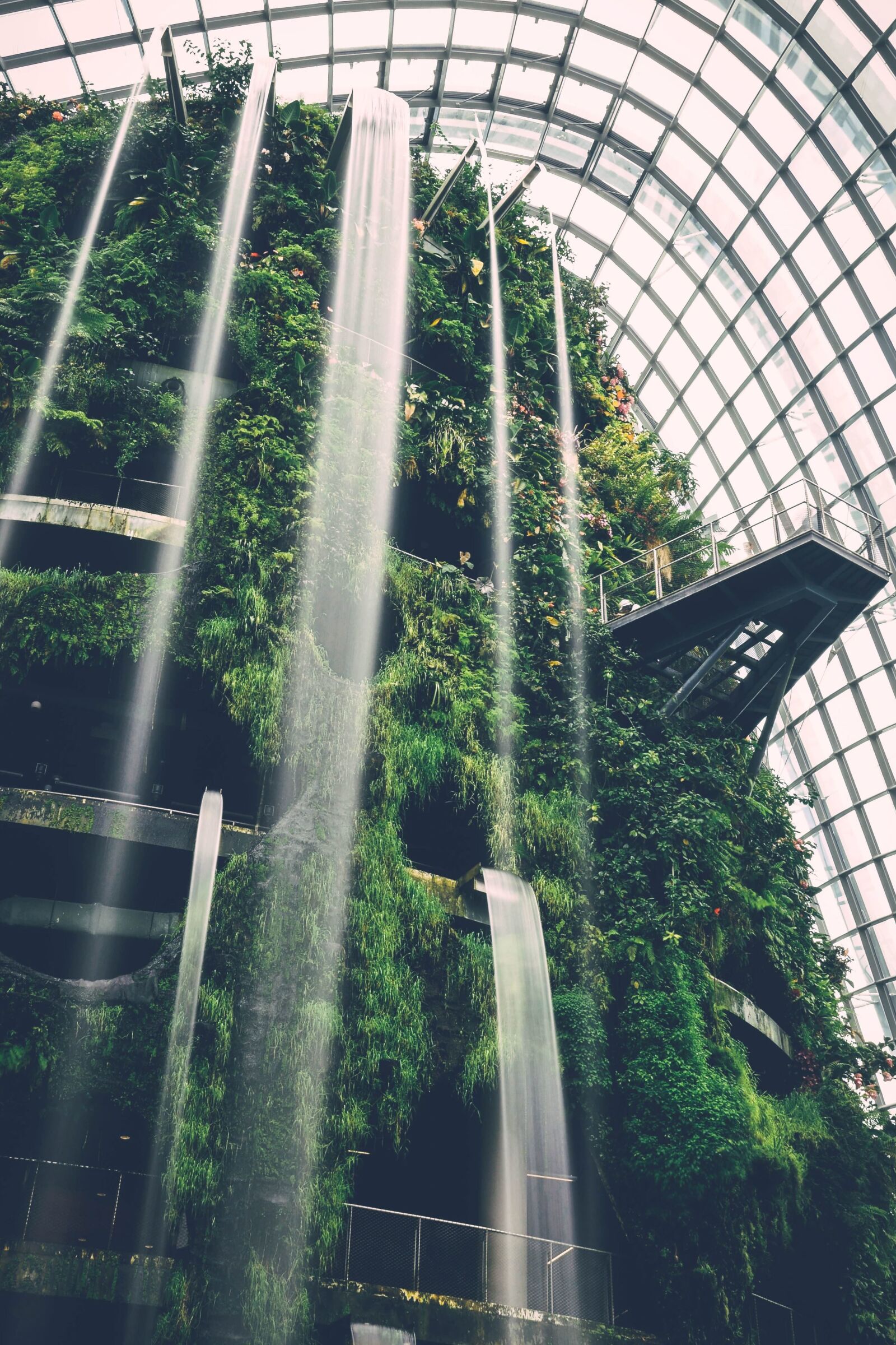 Sony a7 II + Sony FE 24-240mm F3.5-6.3 OSS sample photo. Asia, beauty, botanical garden photography
