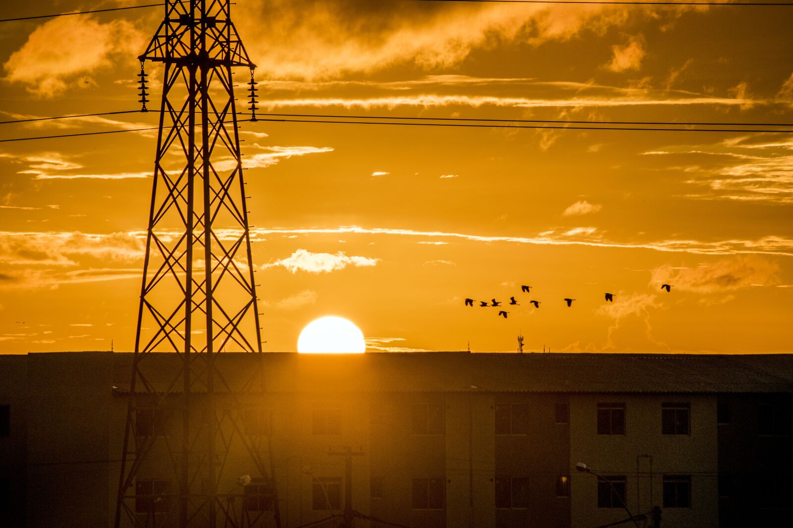 Nikon D5300 sample photo. Antenna, sunset, birds photography