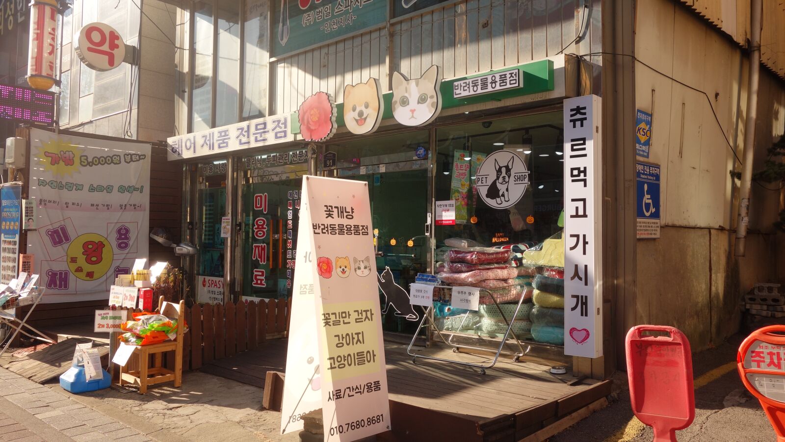 Sony Cyber-shot DSC-RX100 sample photo. South korea, pet shop photography