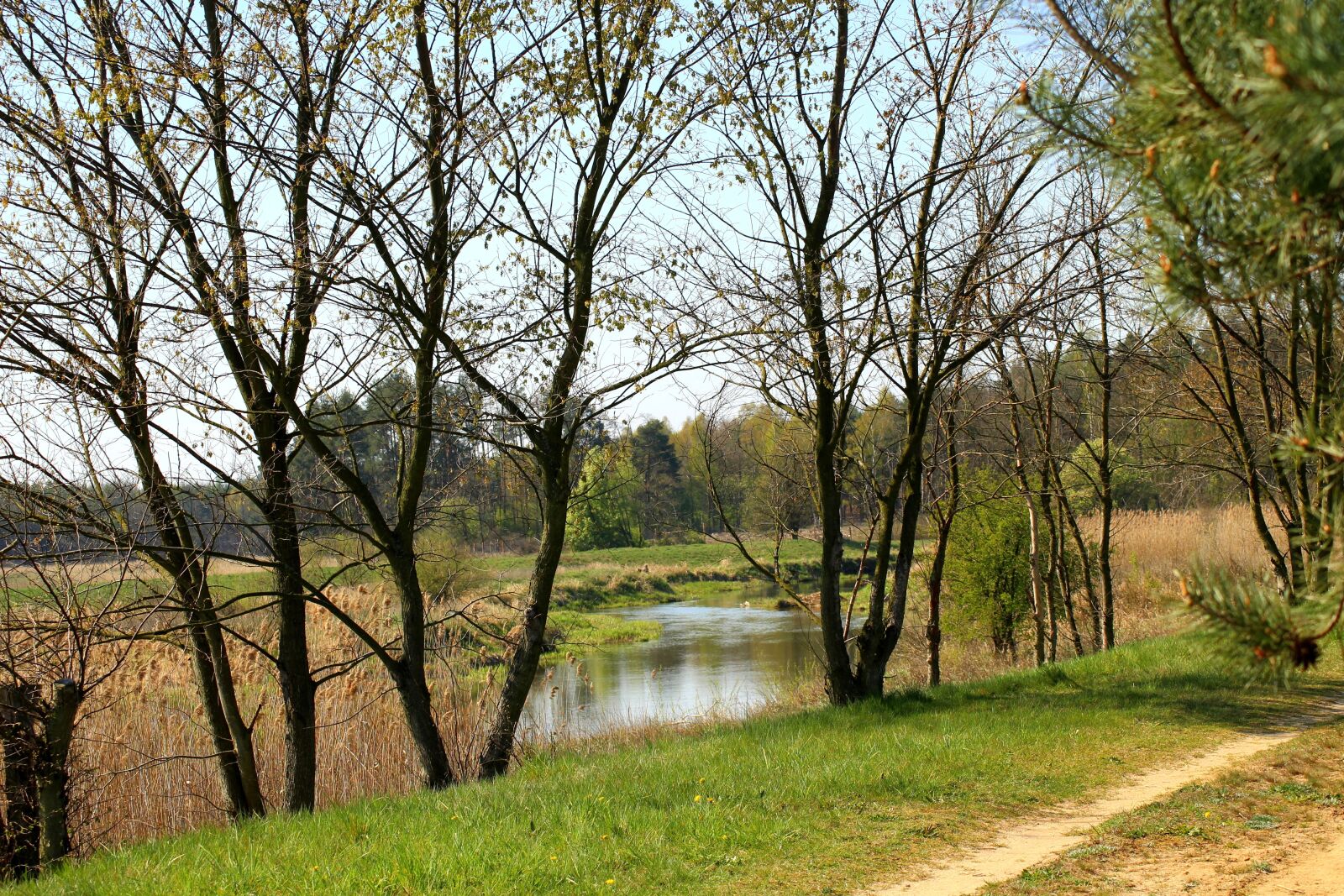 Canon EOS 1200D (EOS Rebel T5 / EOS Kiss X70 / EOS Hi) sample photo. River, landscape, spring photography