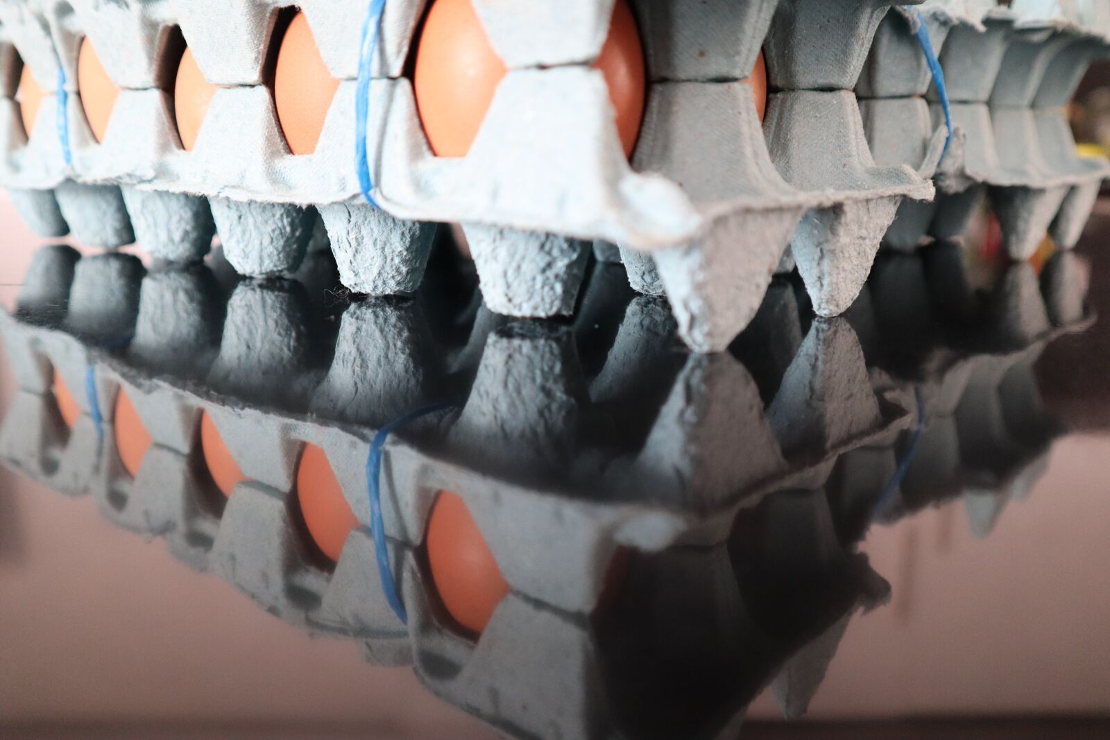 Canon EOS M50 (EOS Kiss M) sample photo. Egg, egg cup, paperboard photography