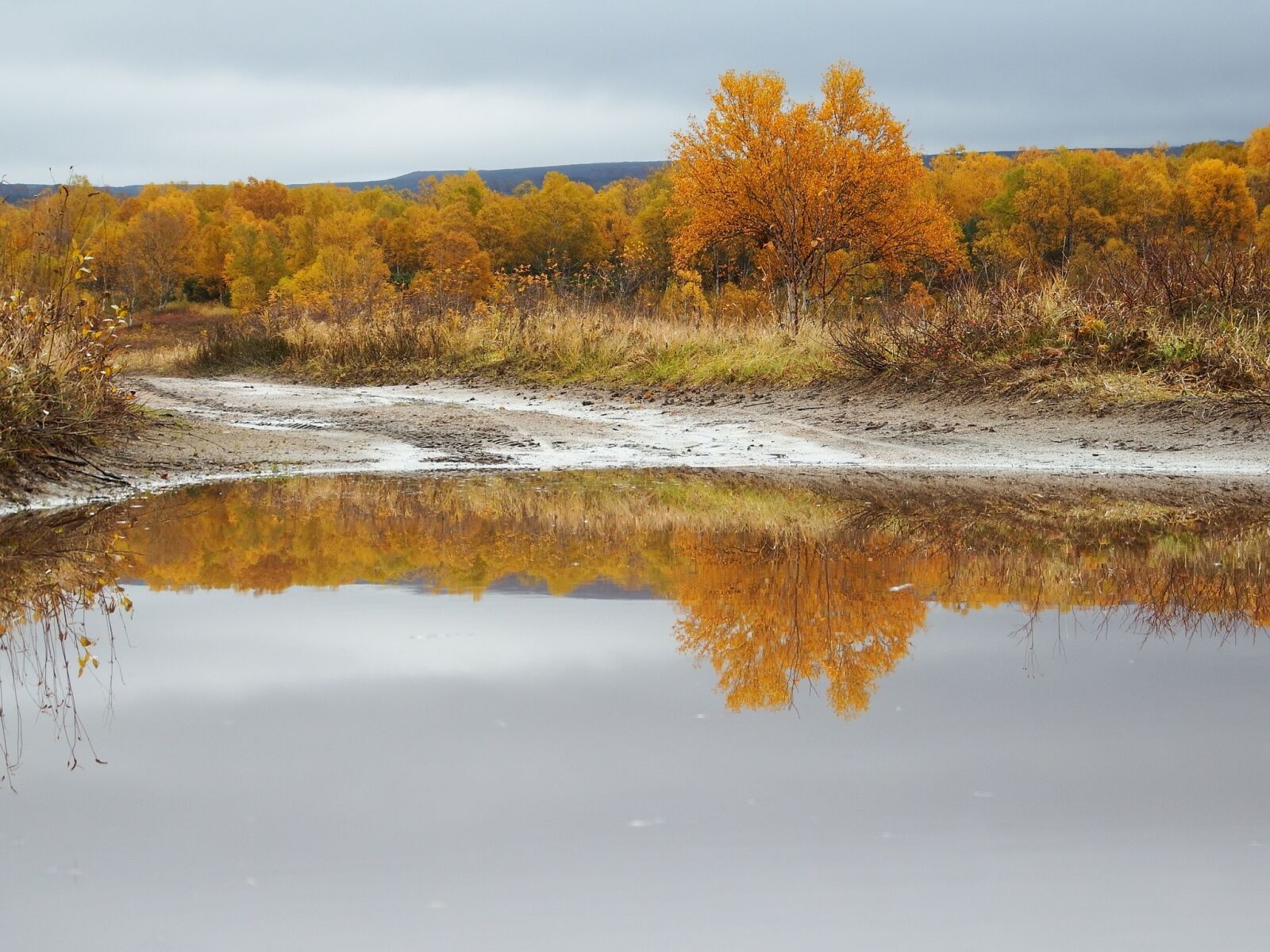 Fujifilm FinePix S1 sample photo. Autumn, puddles, reflection photography
