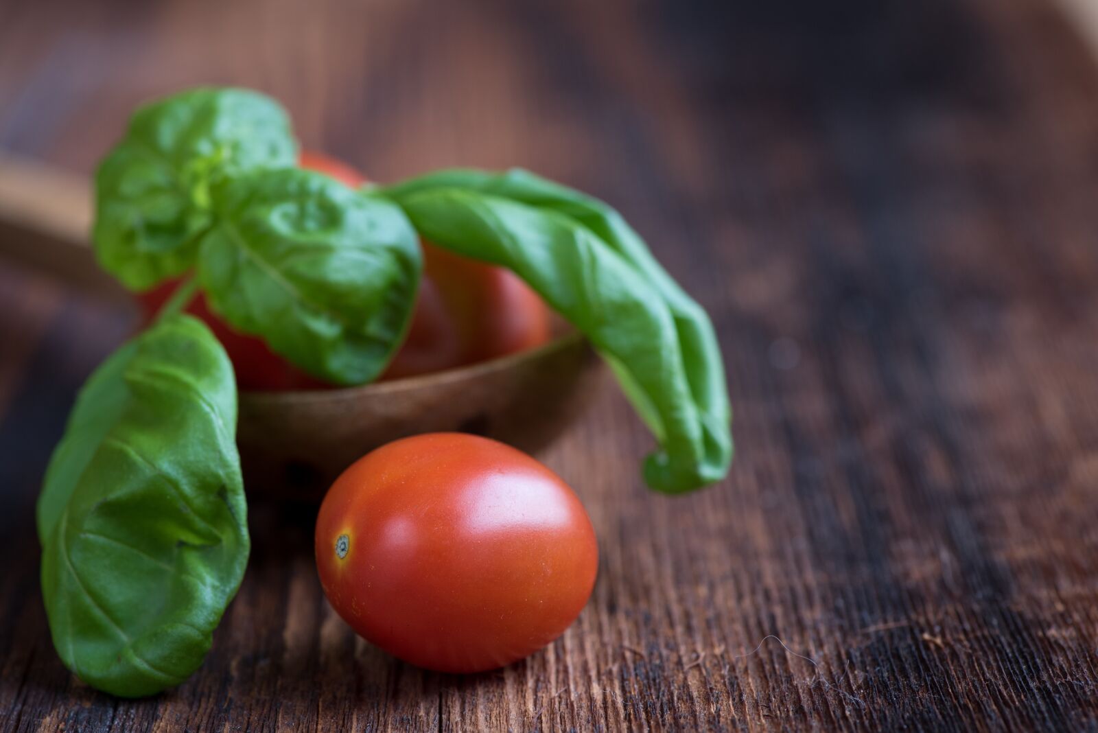Nikon D750 sample photo. Basil, green, spice photography