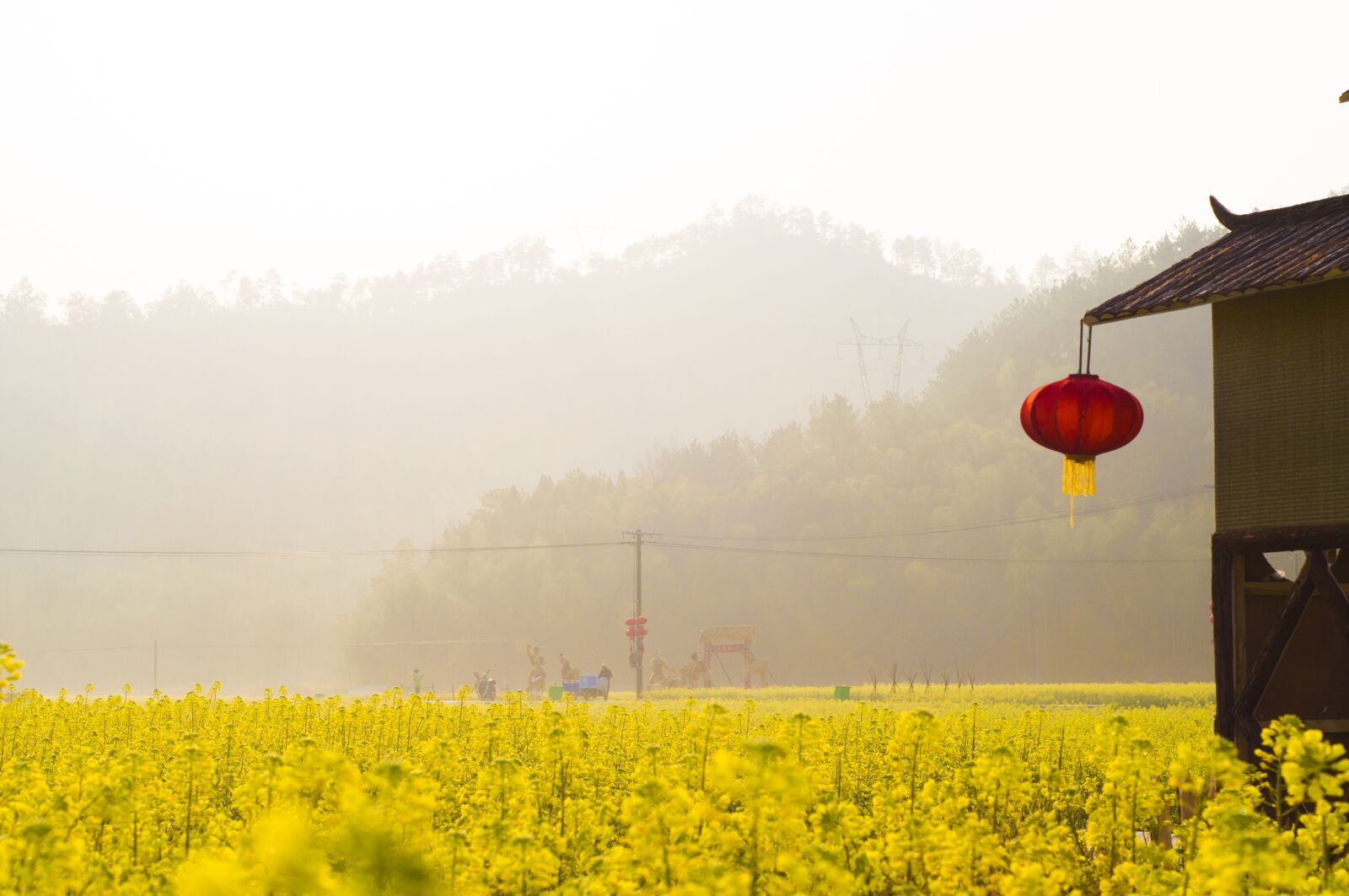Nikon D90 sample photo. 风景, 清新, 花 photography