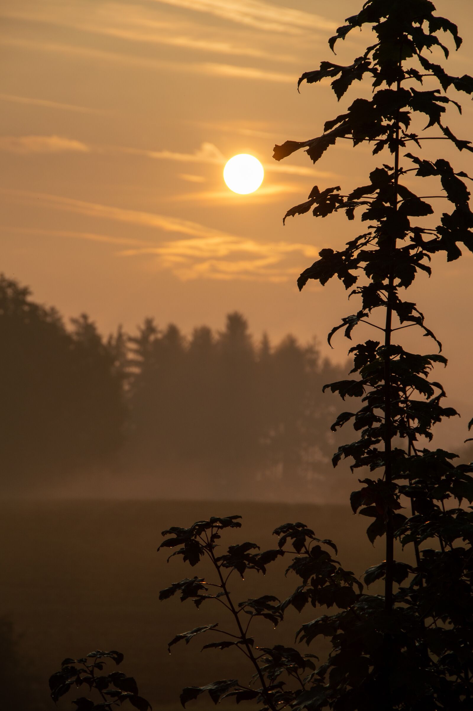 Nikon D3200 sample photo. Morning, sunrise, landscape photography