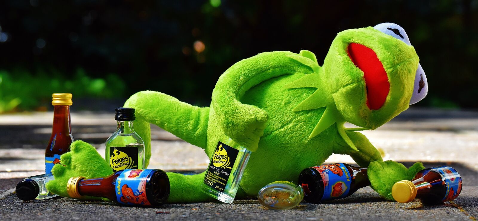 Nikon D7200 sample photo. Kermit, frog, drink photography