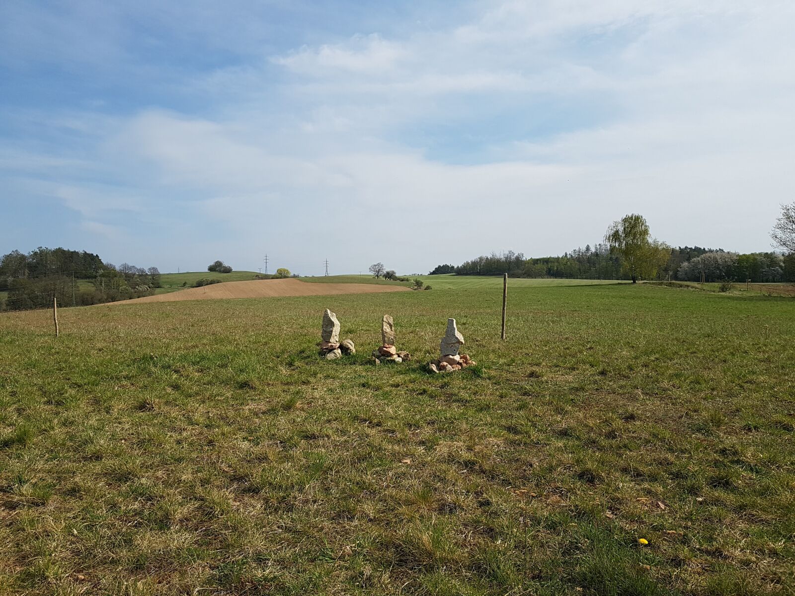 Samsung Galaxy S7 sample photo. Spring, meadow, view photography