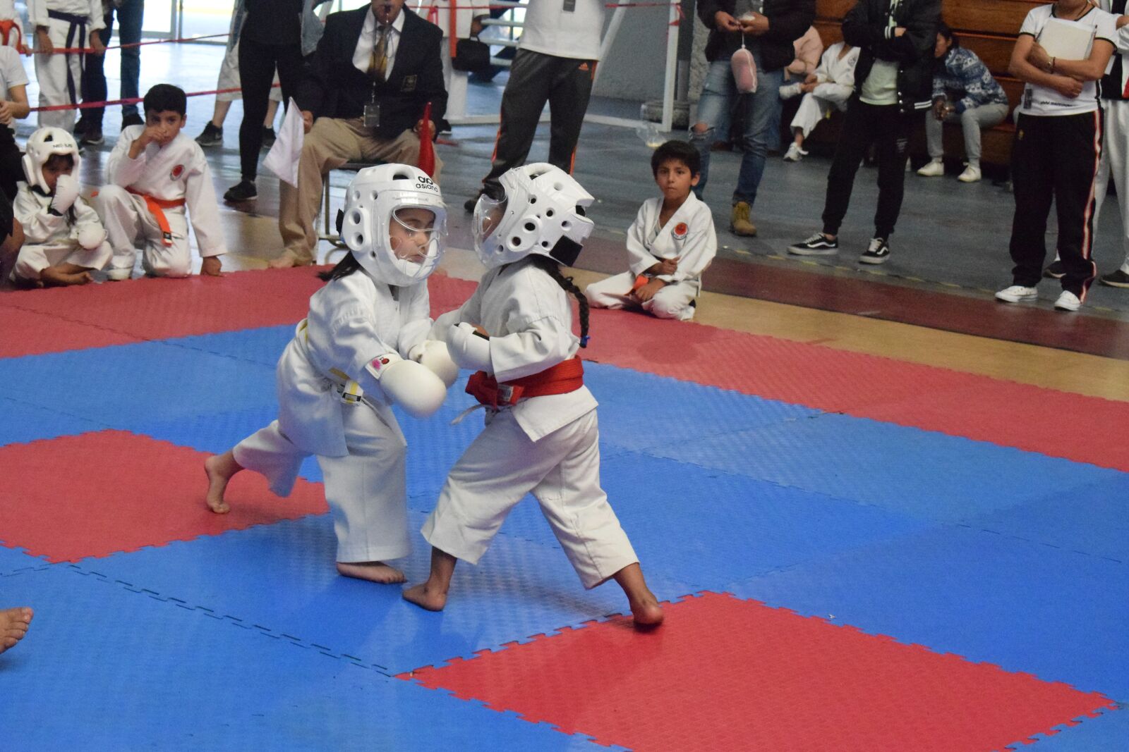 Nikon D3300 sample photo. Kids kumite, karate kids photography