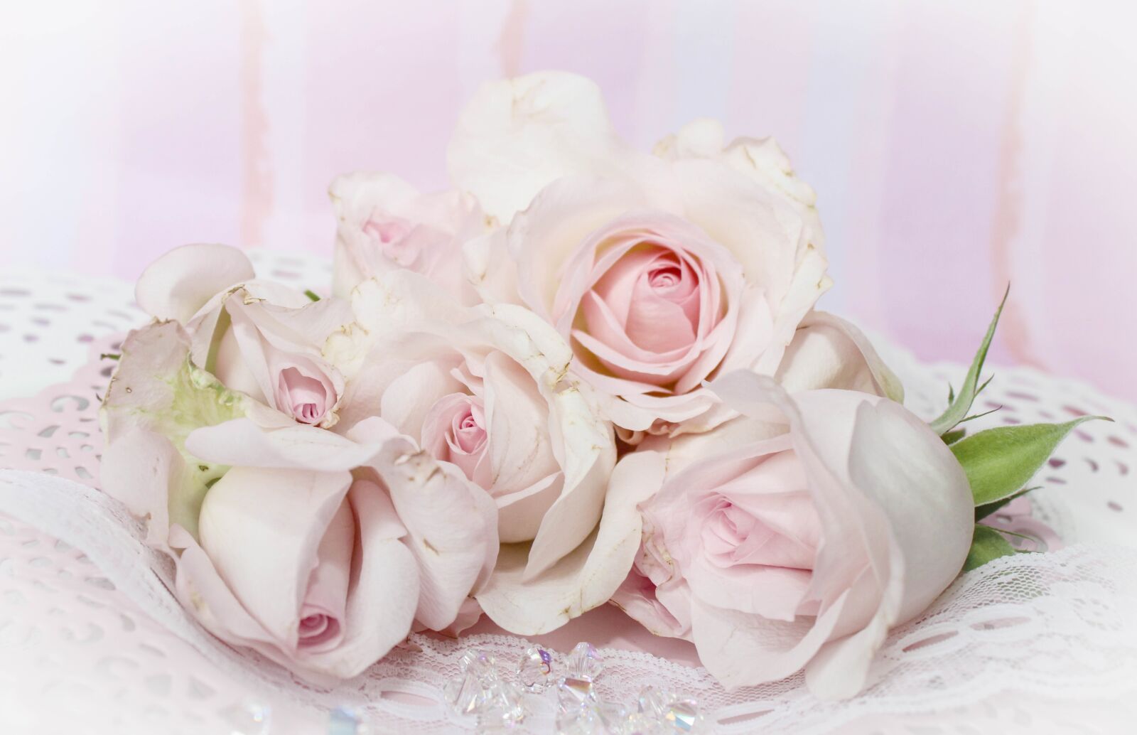 Canon EOS 600D (Rebel EOS T3i / EOS Kiss X5) sample photo. Roses, romantic, background photography