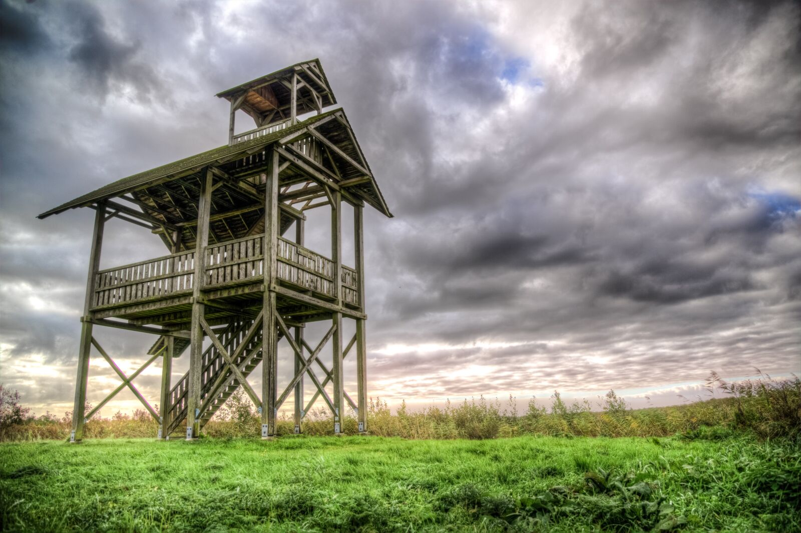 Nikon D610 sample photo. Birdwatcher, house, lookout photography