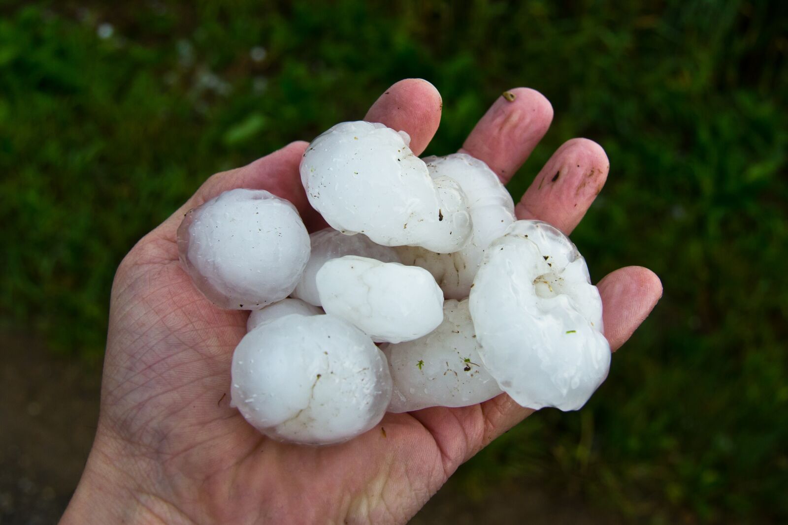 Canon EF-S 17-85mm F4-5.6 IS USM sample photo. Hail, hand, storm photography