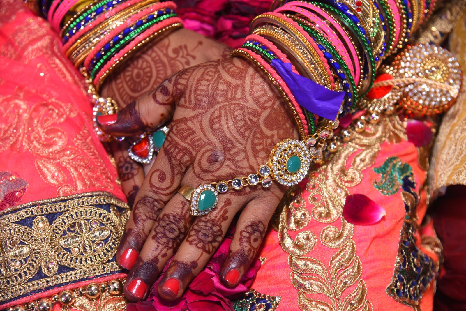 Nikon D750 sample photo. Wedding, marriage, indian wedding photography