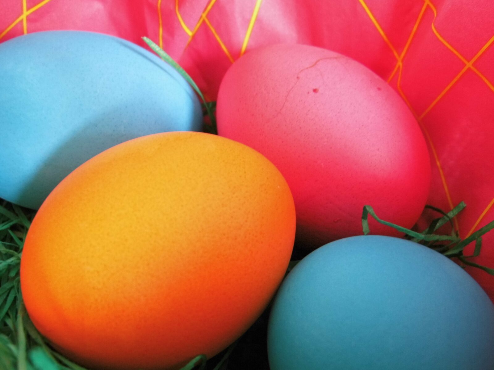 MEDION MD86929 sample photo. Egg, easter, eat photography