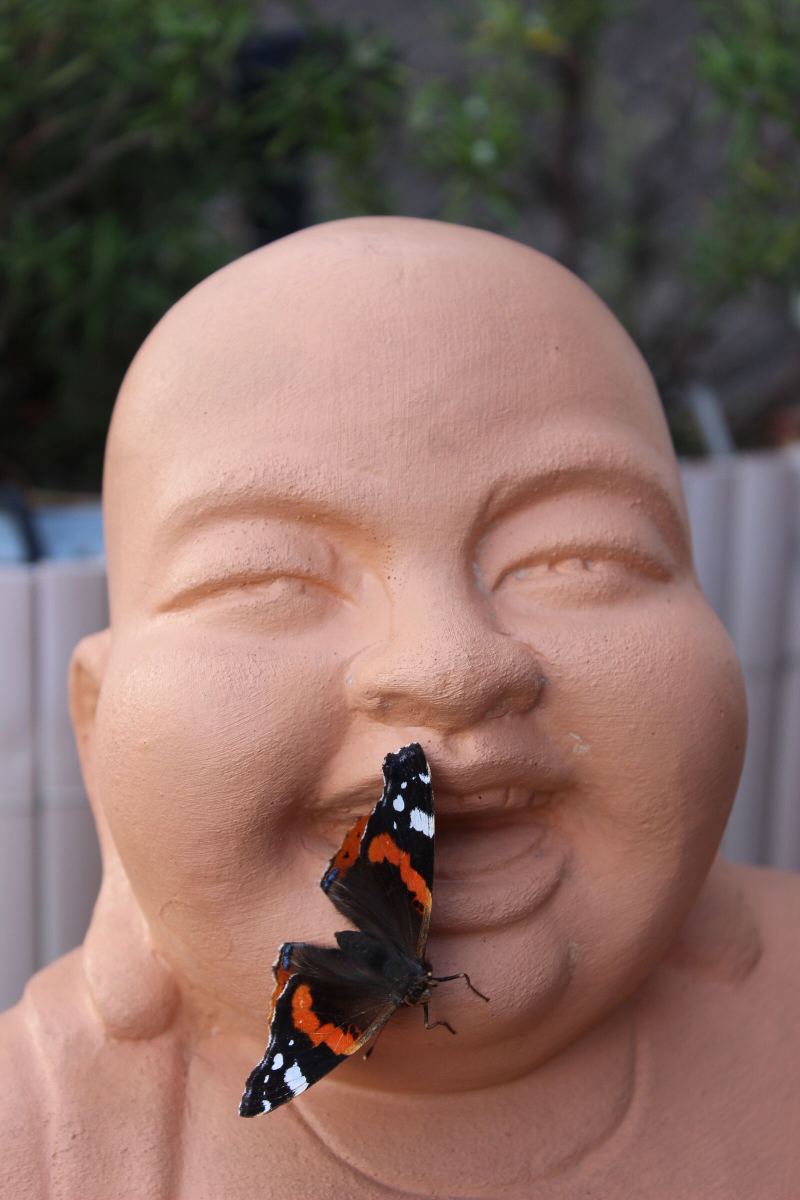 Canon EOS 600D (Rebel EOS T3i / EOS Kiss X5) sample photo. Butterfly, buddha, insect photography