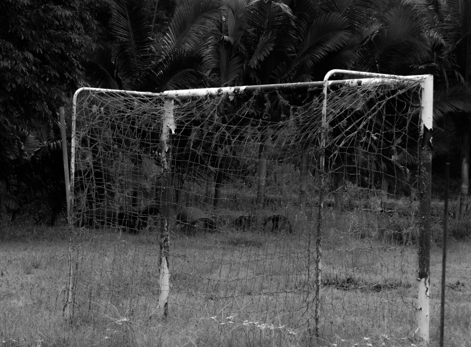 Canon PowerShot SX50 HS sample photo. Sport, vintage, goalkeeper photography