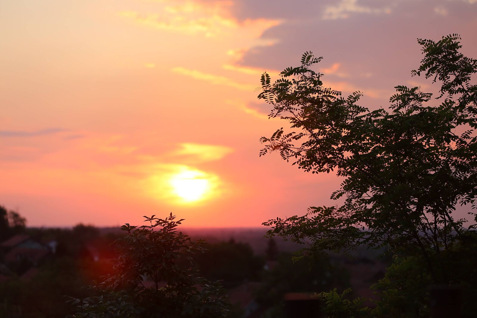 Canon EF 70-200mm F2.8L IS II USM sample photo. Panorama, foggy, sunrise, orange photography