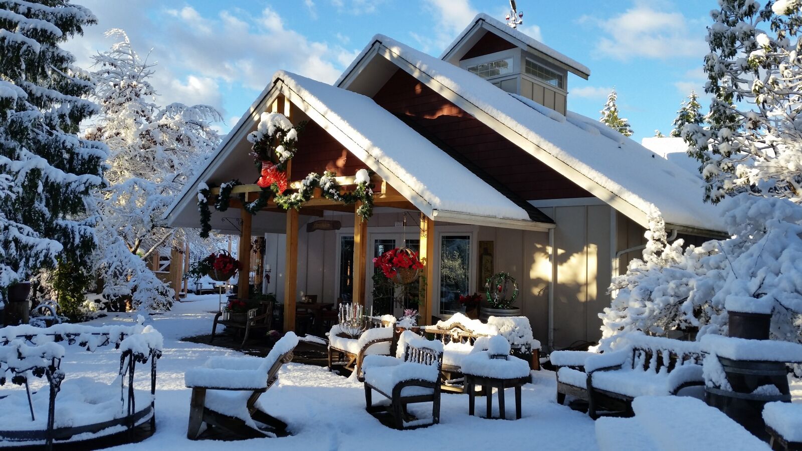 Samsung Galaxy S5 sample photo. Winter, port, angeles photography