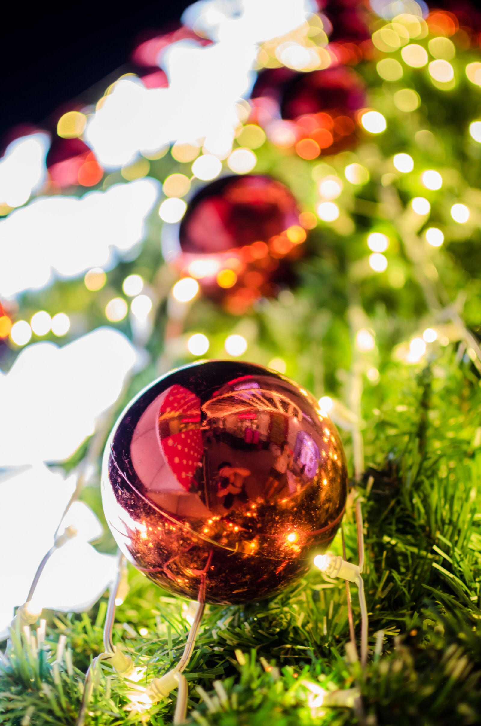 Nikon D5100 sample photo. Pine trees, globe, background photography