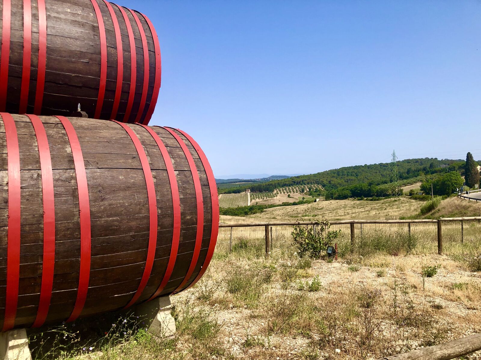 iPhone 8 Plus back dual camera 3.99mm f/1.8 sample photo. Chianti, tuscany, wine photography