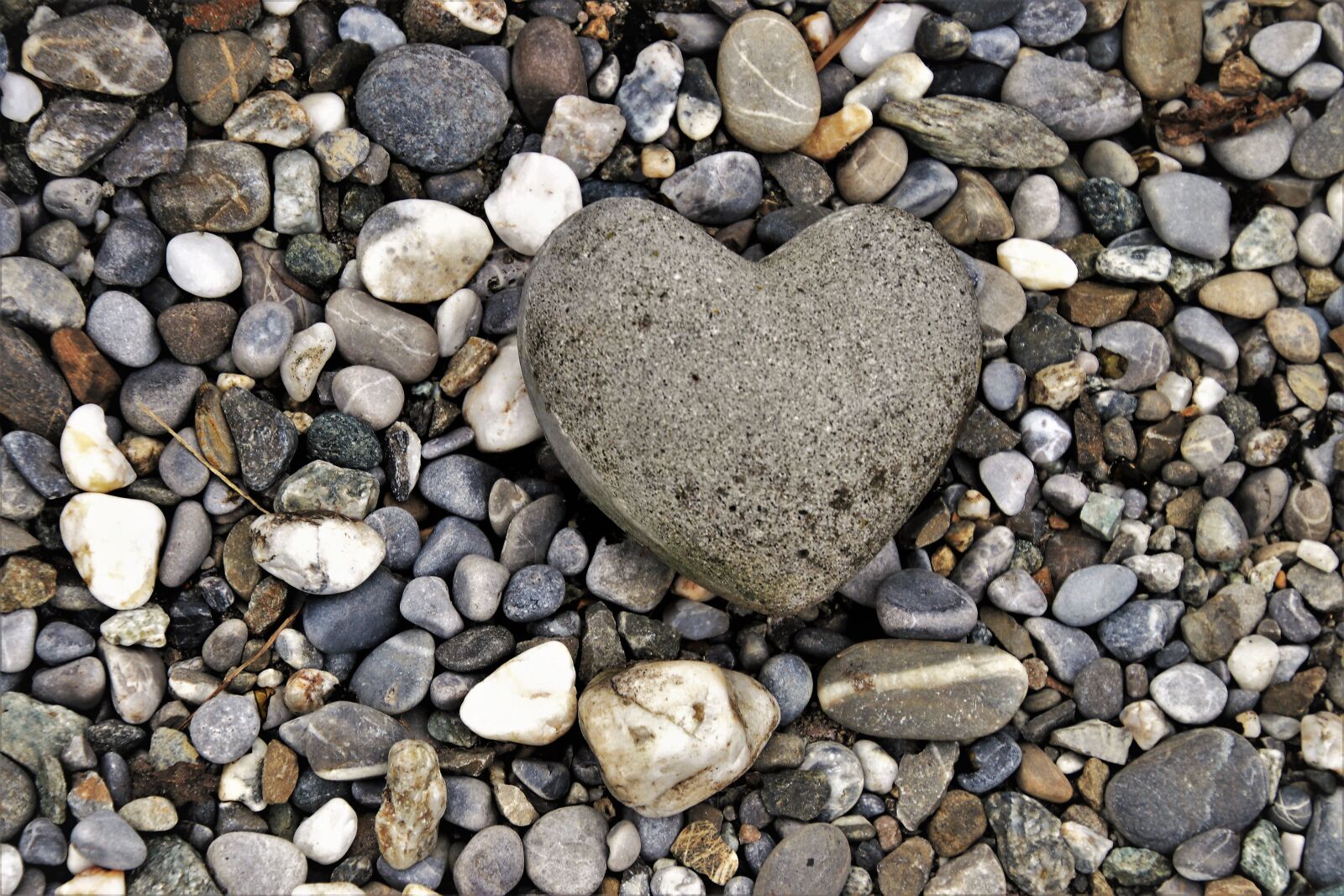 Canon EOS 80D sample photo. The stones, heart, gray photography