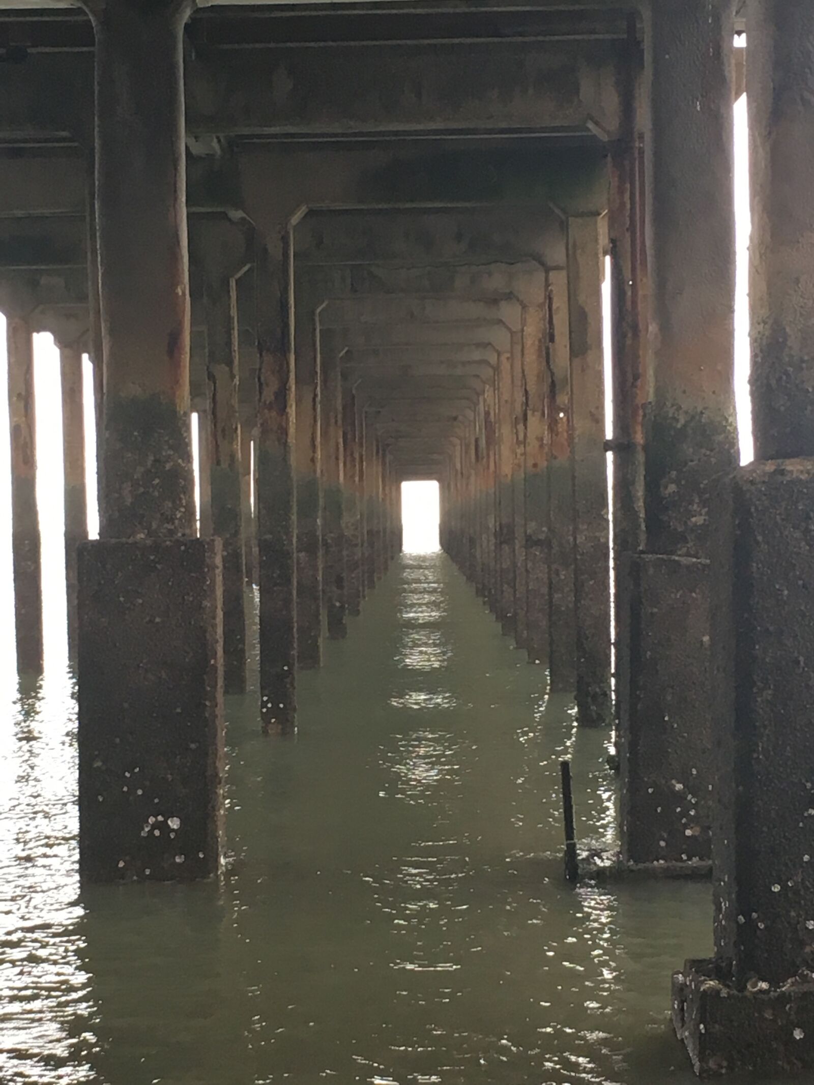 iPhone SE back camera 4.15mm f/2.2 sample photo. Pier, sea, wood photography