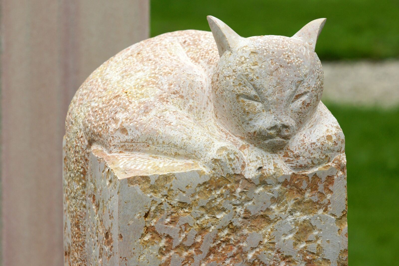 Sony Alpha DSLR-A700 sample photo. Cat, figure, sculpture photography