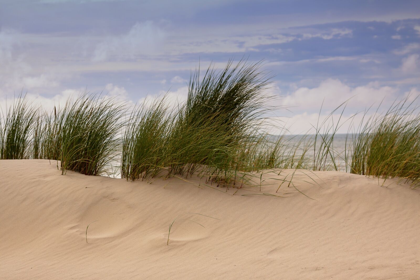 Canon EOS 50D + Canon EF 24-105mm F4L IS USM sample photo. Dunes, beach, sea photography